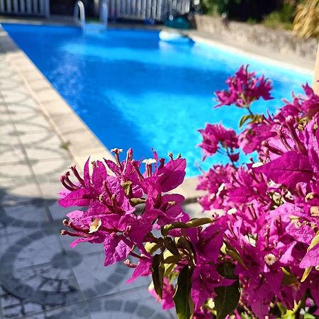 Les Bichettes Bed & Breakfast Mortagne-sur-Sevre Exterior foto