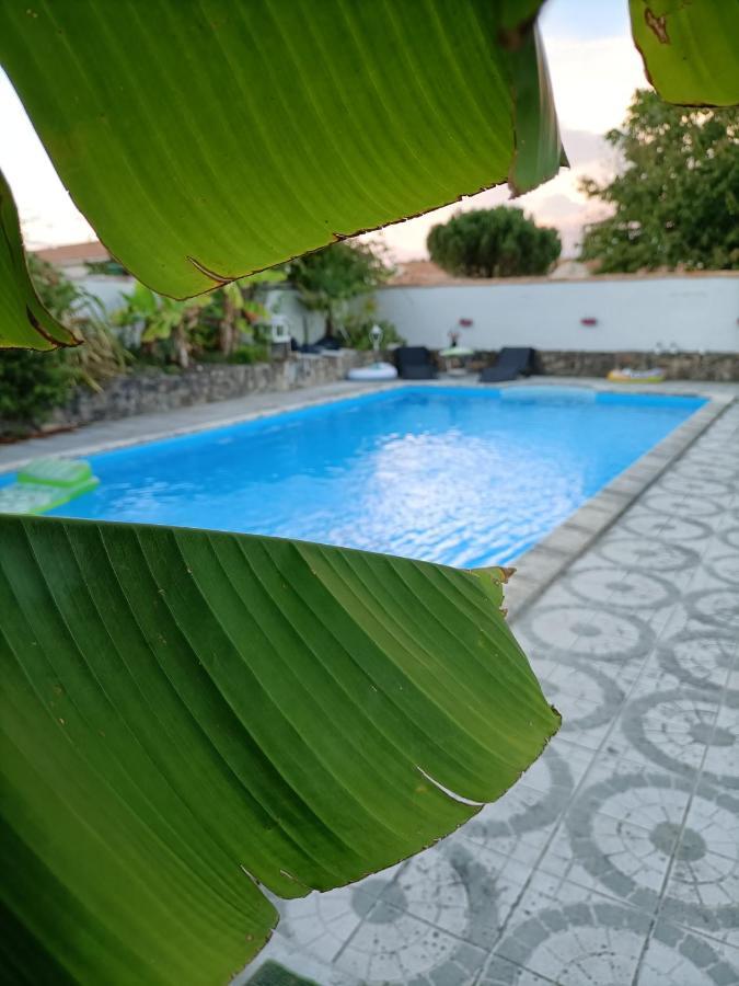 Les Bichettes Bed & Breakfast Mortagne-sur-Sevre Exterior foto