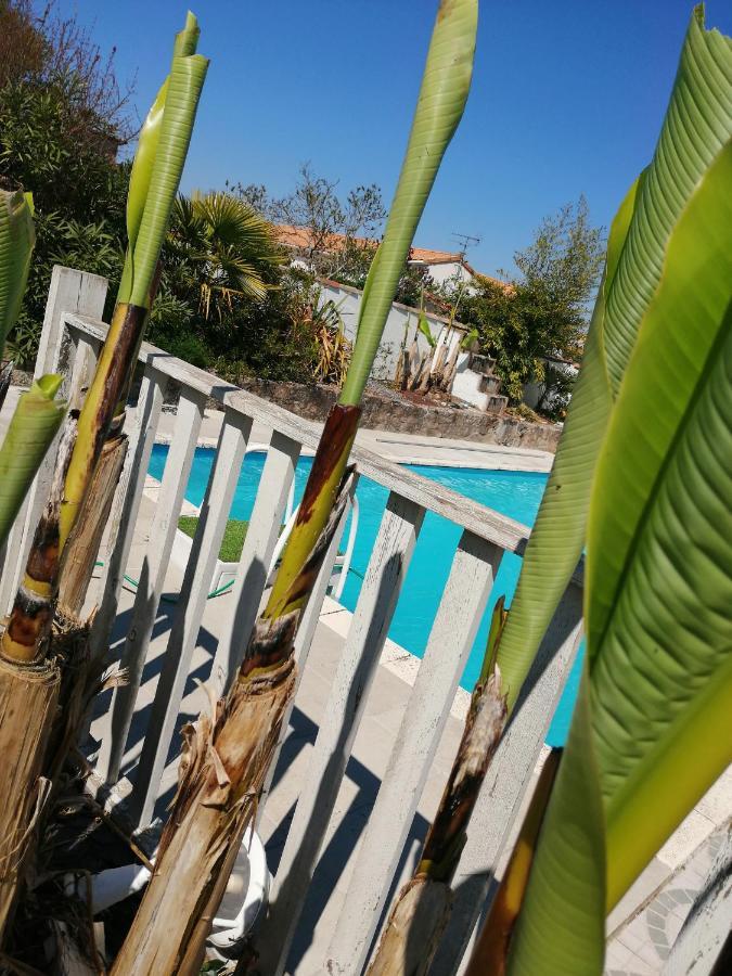 Les Bichettes Bed & Breakfast Mortagne-sur-Sevre Exterior foto