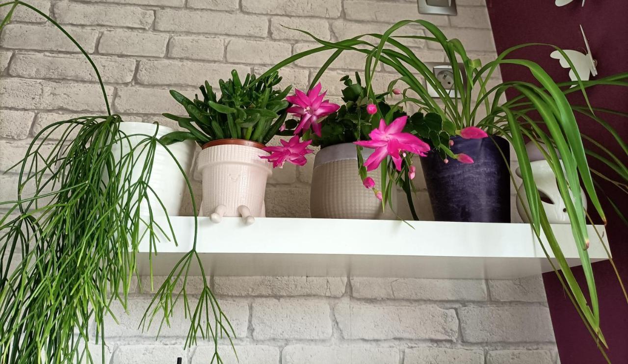 Les Bichettes Bed & Breakfast Mortagne-sur-Sevre Exterior foto
