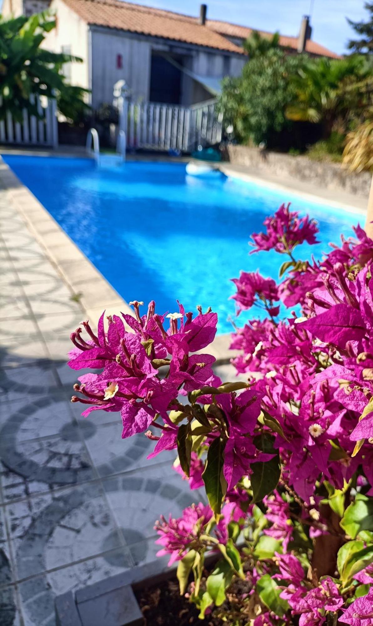 Les Bichettes Bed & Breakfast Mortagne-sur-Sevre Exterior foto